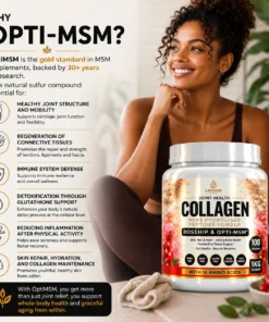 Collagen Rosehip and OptiMSM Joint Wellness Blend