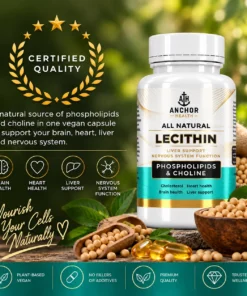 Lecithin phospholipid supplement 1200mg