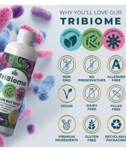 Vegan probiotic liquid dairy free gluten free natural gut health supplement South Africa