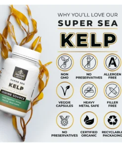Benefits of kelp