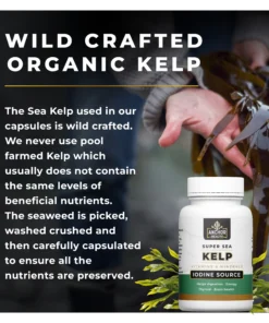 organic sea kelp capsules wild crafted low mercury non gmo supplement