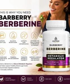 Alternative view of Berberine | Blood Sugar, Digestion & Energy | 60 Veggie Capsules