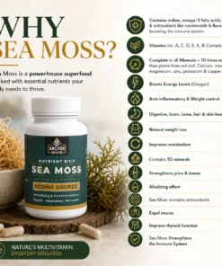 Alternative view of Sea Moss - 60 Veggie Capsules
